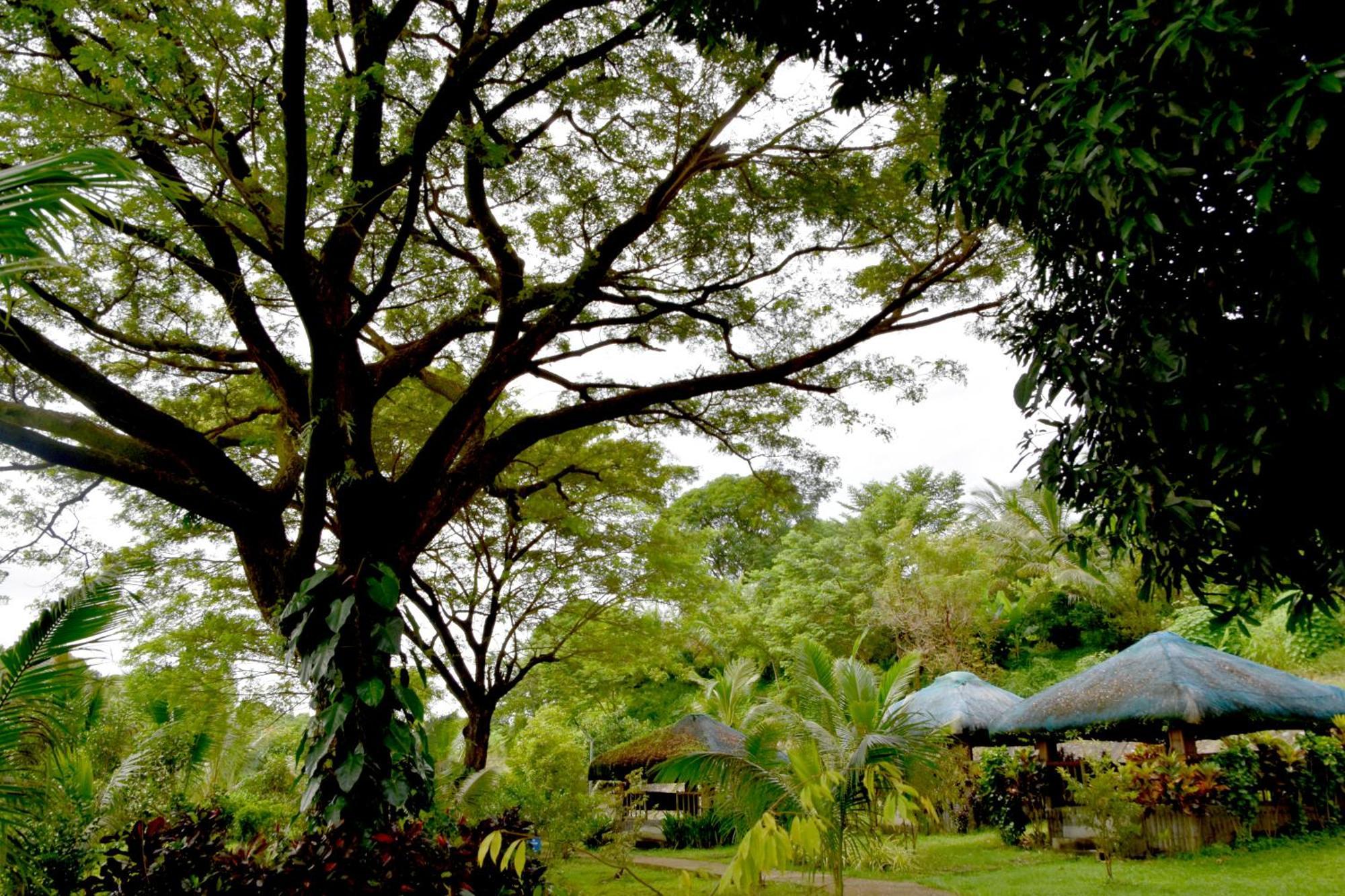 Isla De Oro Hotel Mamburao Buitenkant foto